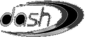 Dash Casino logo