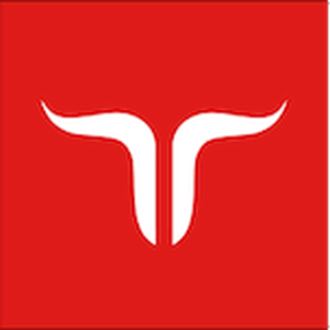 Jetbull Casino logo